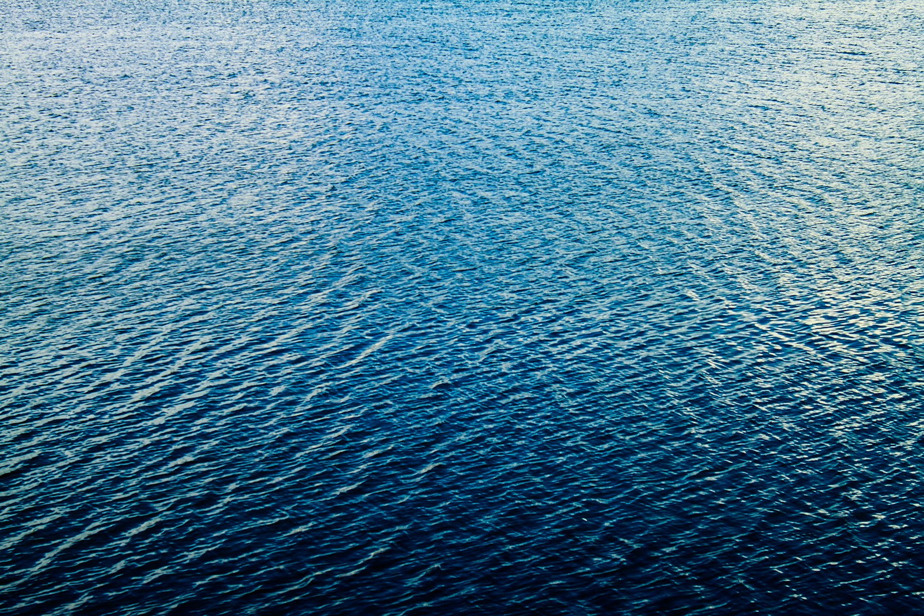 光を映す、穏やかな青い水面